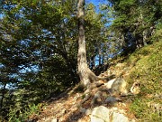 Rif. Benigni con Cima Piazzotti-ValPianella-15ott21  - FOTOGALLERY